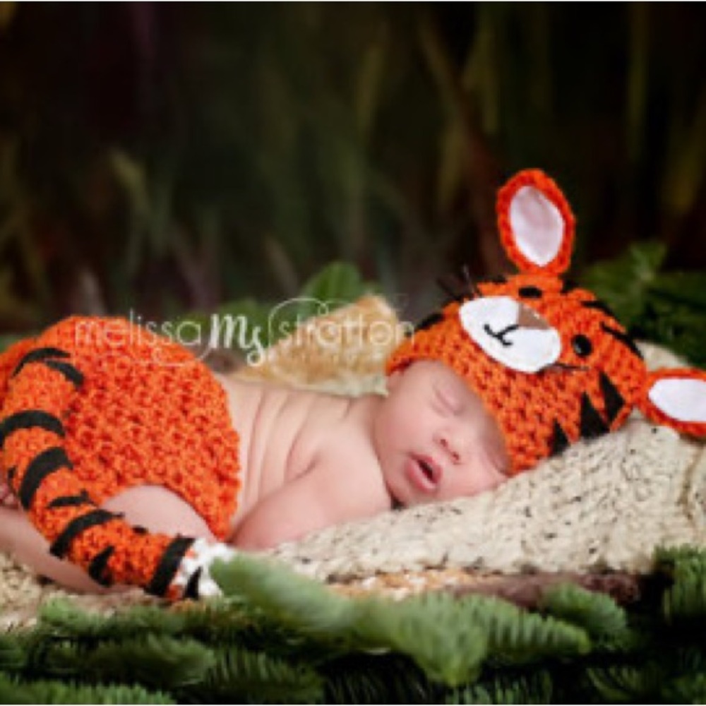 Orange and Black Tiger Hat with Ears